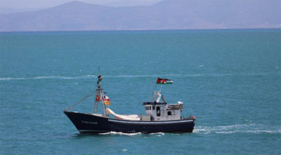 কোথায় আছে গ্লোবাল সুমুদ ফ্লোটিলার জাহাজ মিকেনো?